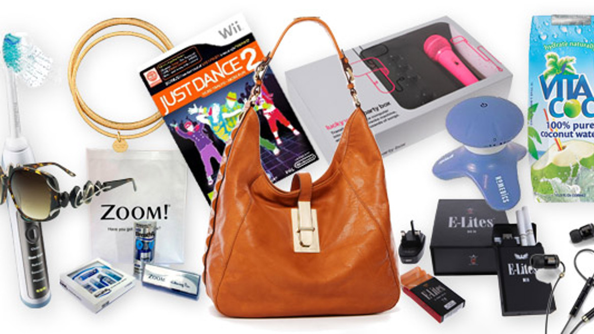 Image showing the contents of the 2011 Goodie Bag
