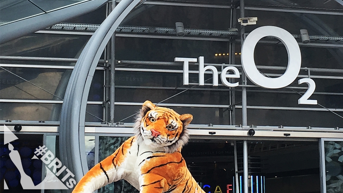 TIGER-WEB_id17353_